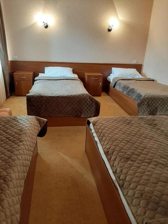 Stara Vezha Hotel Boryspil 2*,
